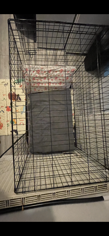 XL /Large Dog Crate