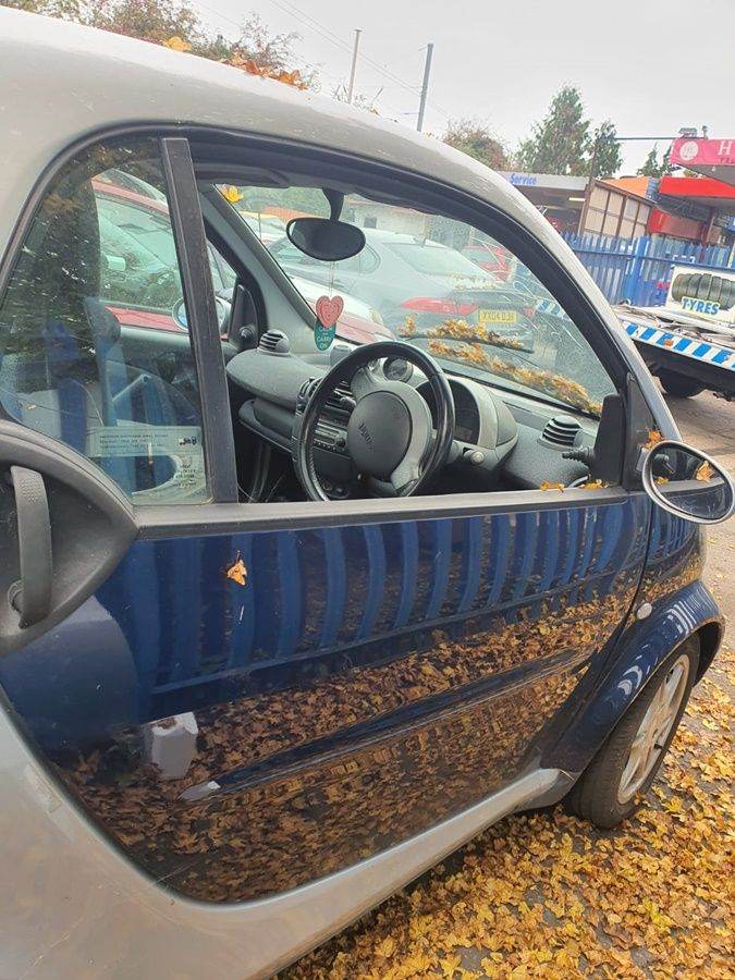 Smart City Coupe/Cabrio  Complete Left Side Door Blue 2003
