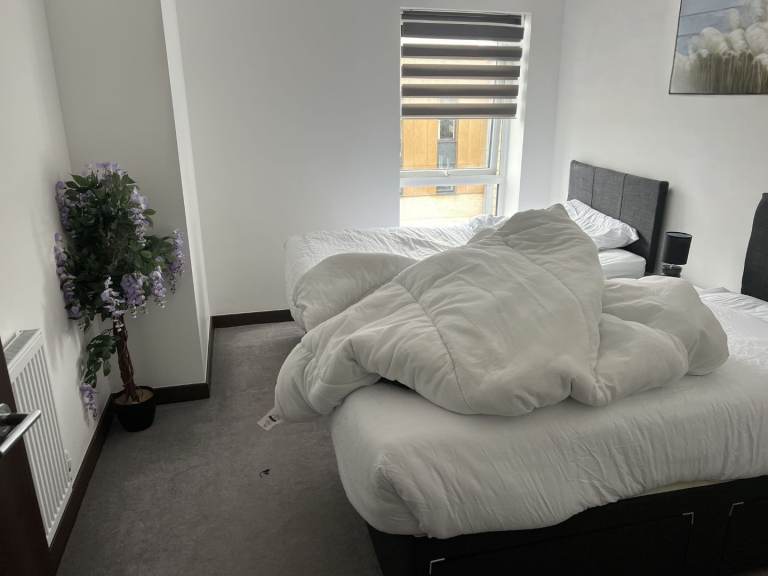 Professional and domestic cleaning services