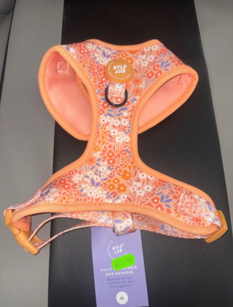 Dog Harness - Medium - Orange 