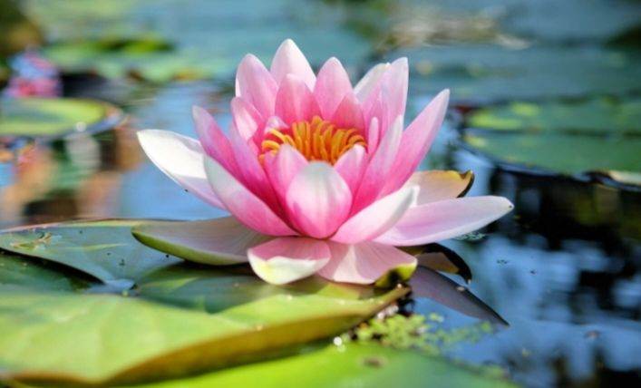 New relaxing massage in Angel