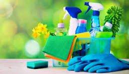 Cleaner-Domestic Cleaner-House Cleaning- Cleaning Services- Carpet Cleaning- End Of Tenancy Cleaning