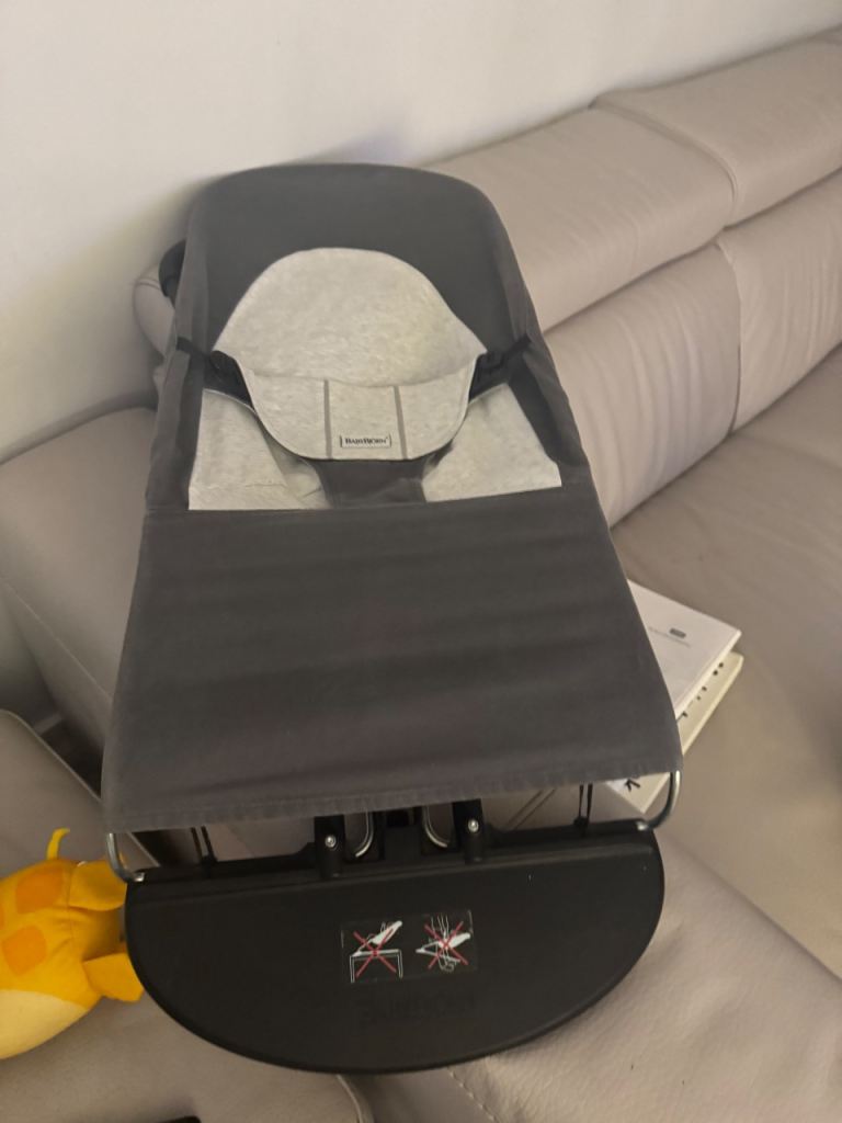 Bjorn baby bouncer 