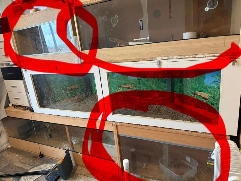 Wooden Vivarium for Reptiles x2 available! 