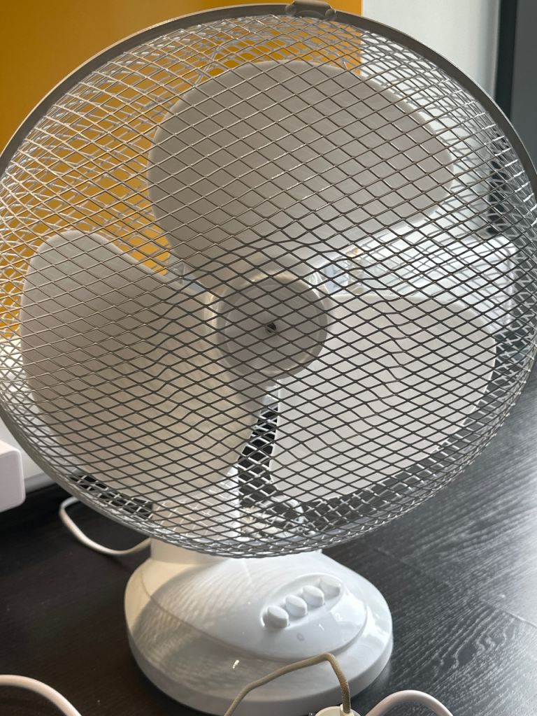 Fan