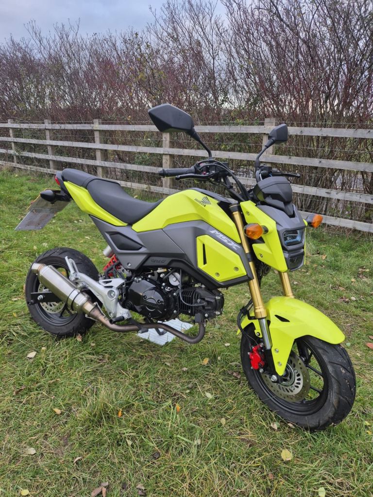 Honda grom running project 2017
