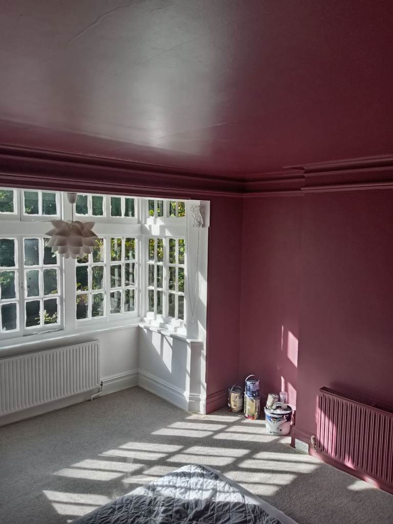 Professional Polish Painter decorator tiler 