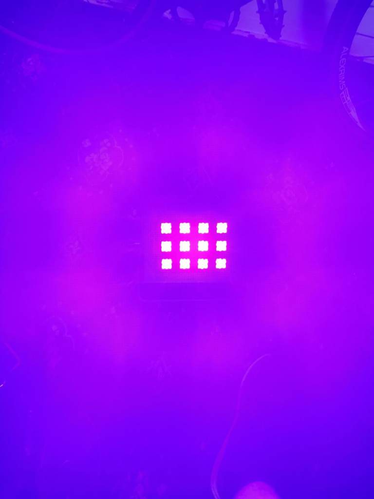 ADJ UV Flood 36 Blacklight – Excellent Condition