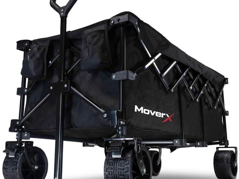 I need to borrow a wagon like pictured on Friday please 