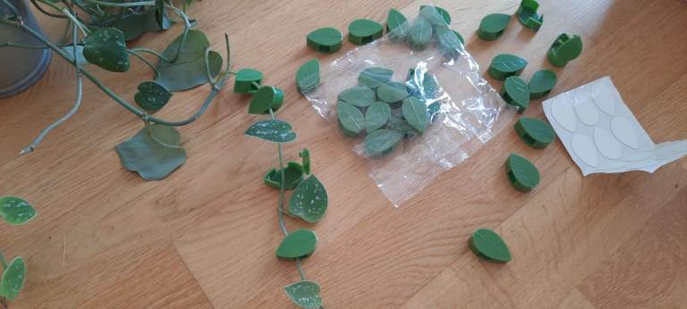 Climbing plant clips houseplant indoor conservatory plant