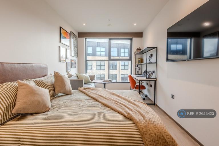 Studio flat in St Andrews Hall, St Andrews, KY16 (#2653423)