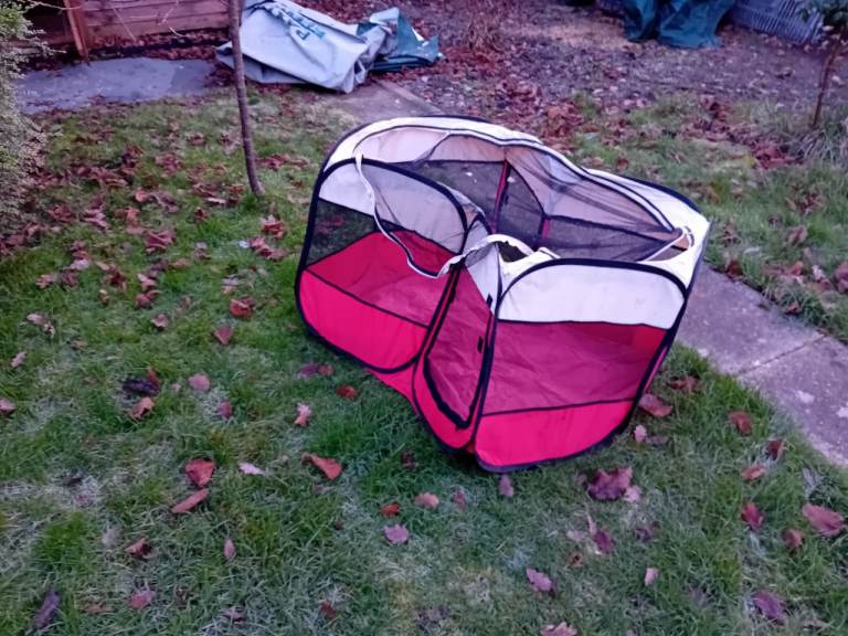 Guinea pig or rabbit outdoor run 