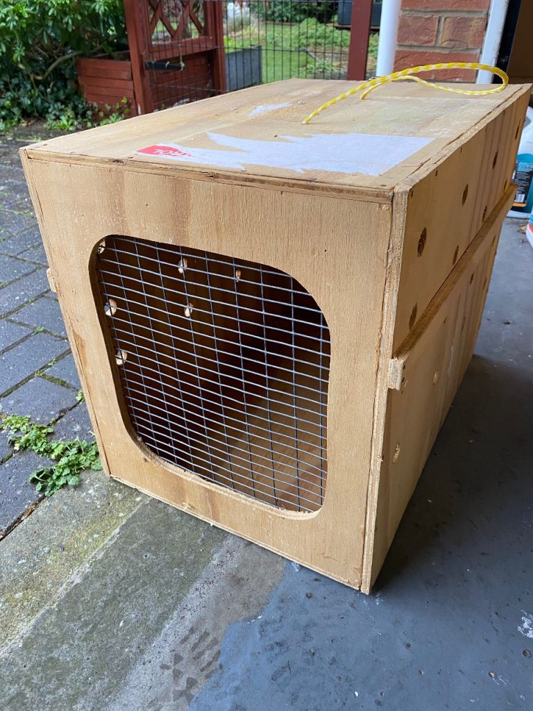 Airline approved animal crate