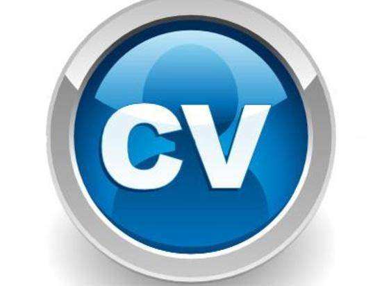 CV Writing Birmingham, CV Writer Birmingham, CV Service Birmingham, Professional CV Birmingham