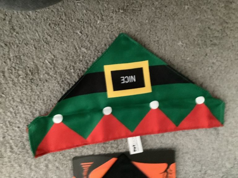 New with tags dog banana Christmas naught and nice reversable 