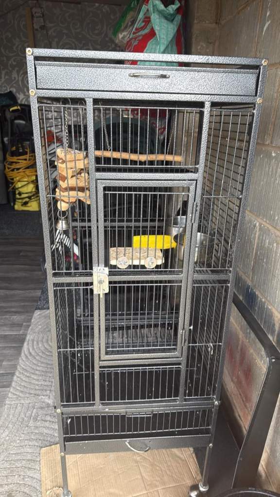 Parrot cage 