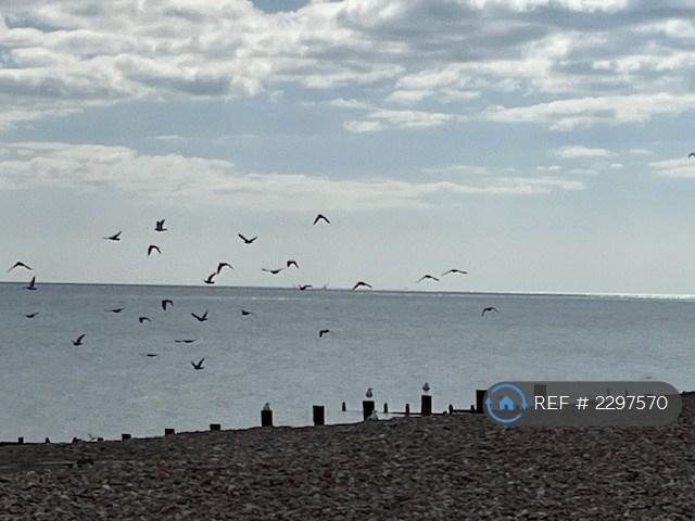 2 bedroom flat in Claydon Court, Worthing, BN11 (2 bed) (#2297570)