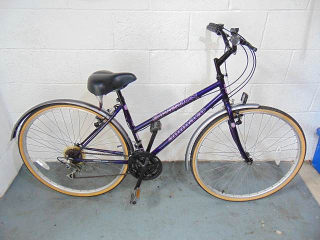 damenfahrrad 48 ZÜNDAPP Z517 28 Zoll E-Bike Citybike Pedelec Tiefeinstieg MPN:6090000257 Food Container Dönerbox mit Combo:E-Bike + Gepäckträger + Schutzbleche + Heckkorb