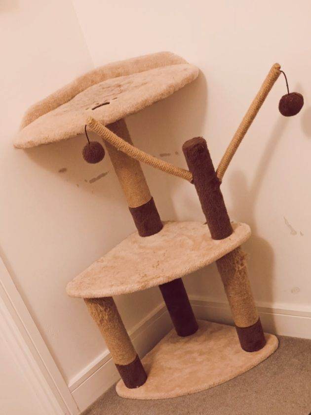 Cat/kitten scratch post.