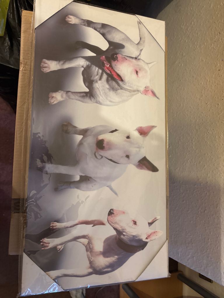 Dog prints
