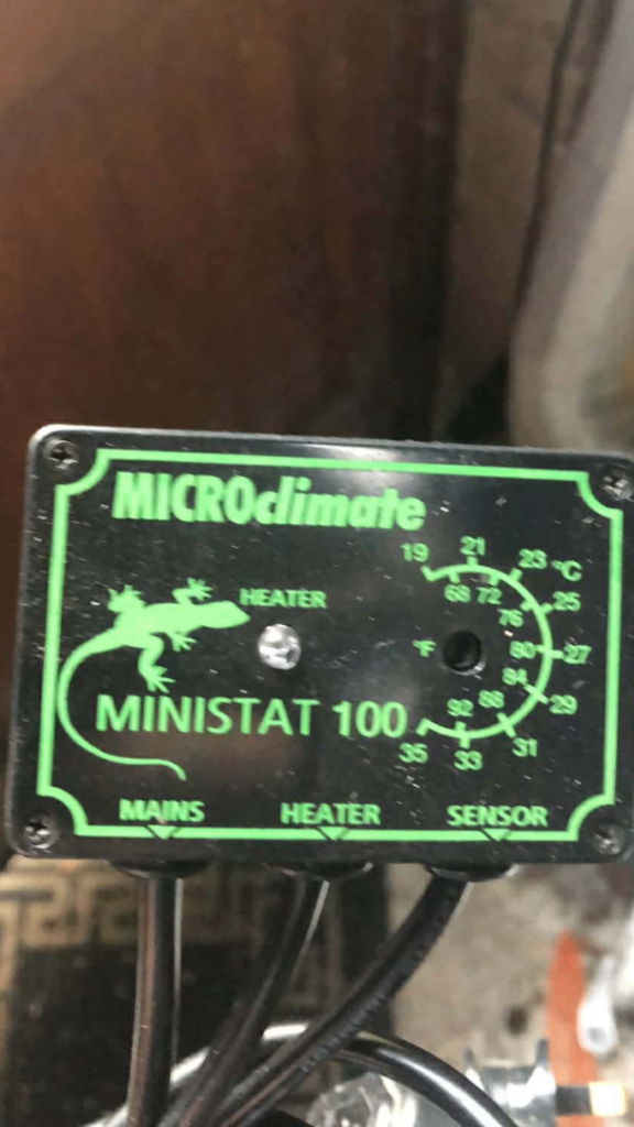 Microclimate thermostat 