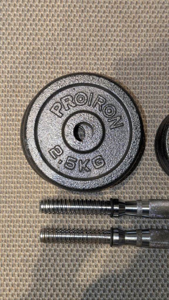 Dumbbell handles with weight plates 