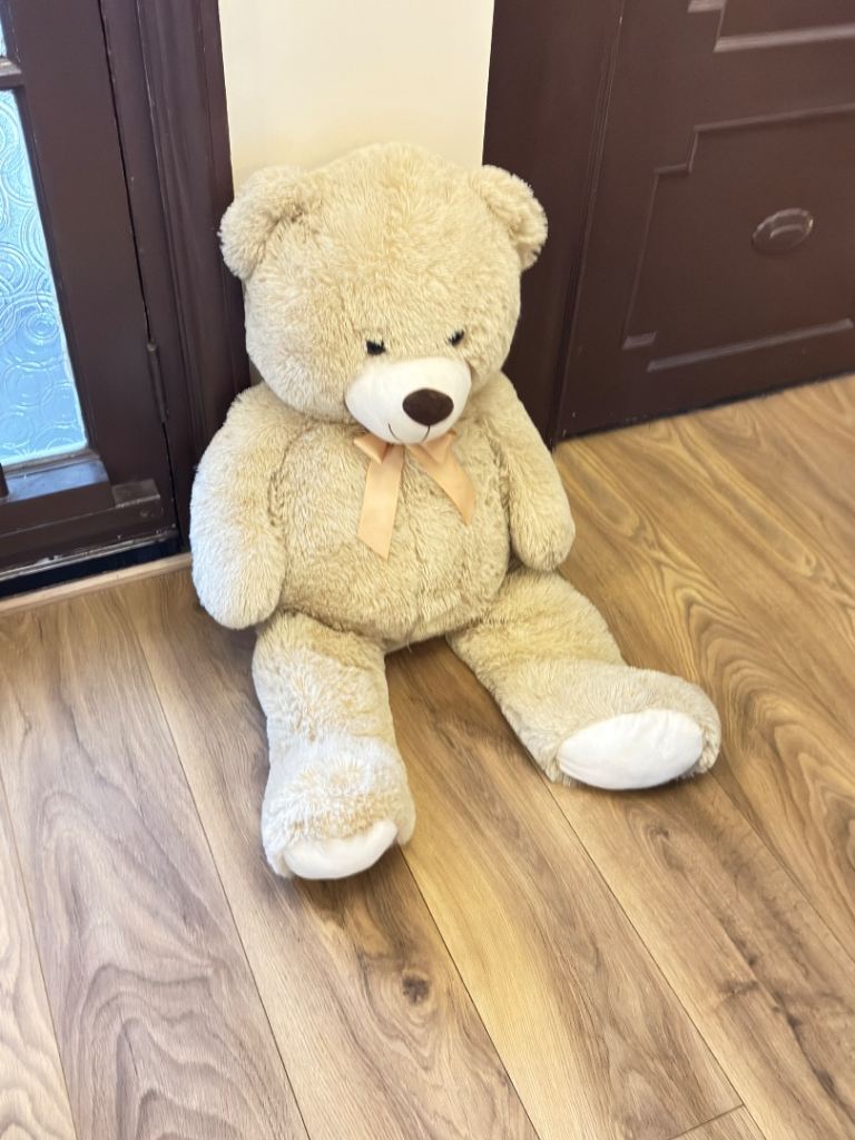 Teddy bear 