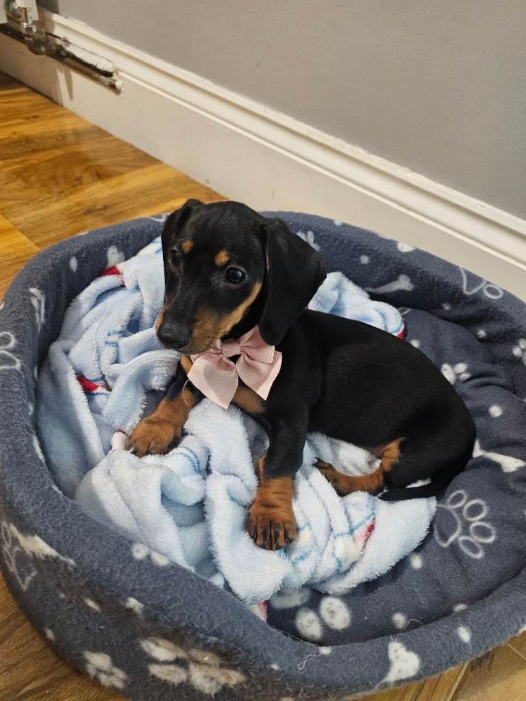 My little girl, ready to love and be loved.