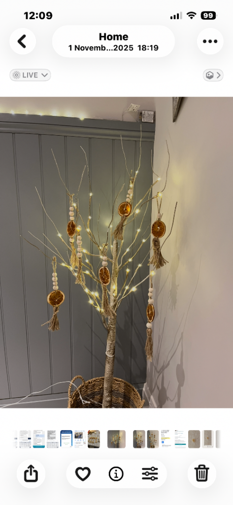 Lighted twig tree