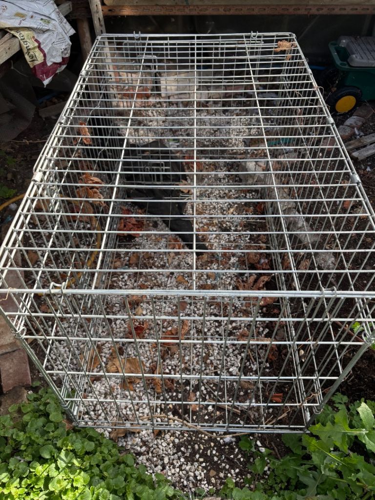 Outdoor lockable pet cage