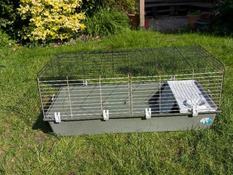 Guinea pig cage