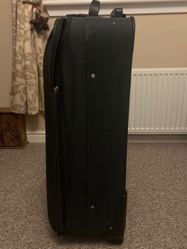 image for Large antler suitcase