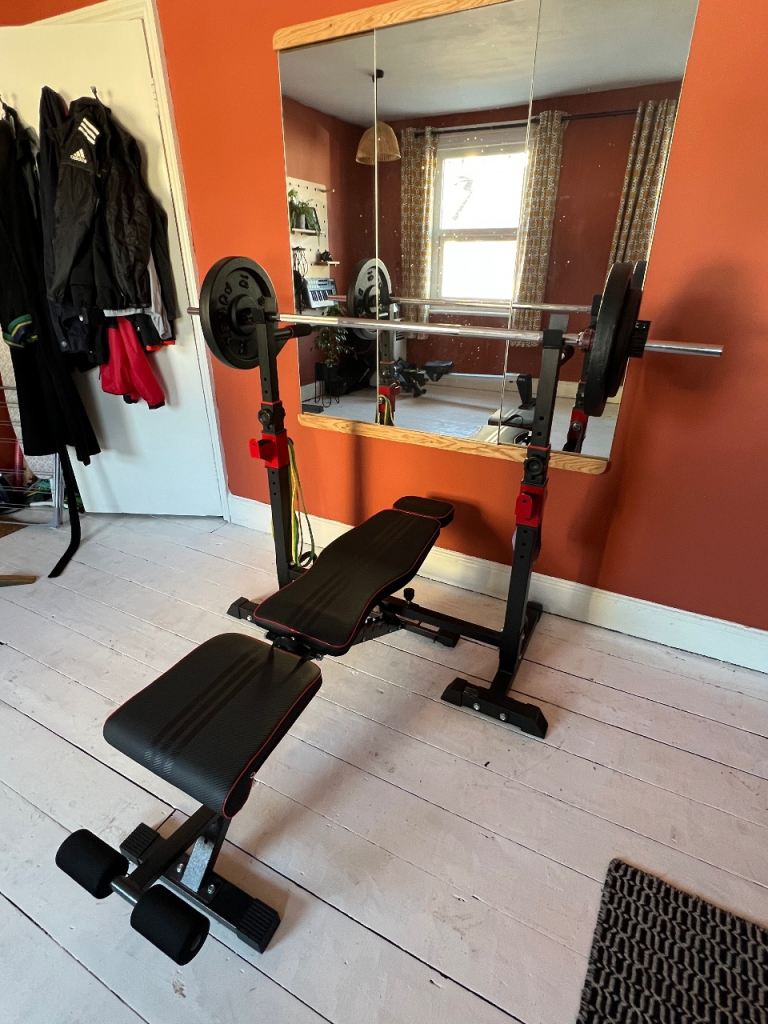 Squat, bench press, tricep dips rack barbell station