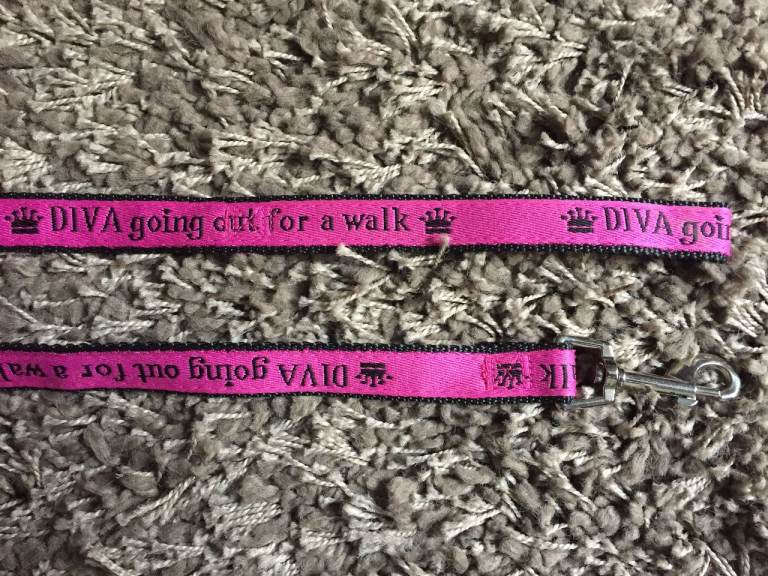 DIVA Dog Lead. 46" approx. As New.