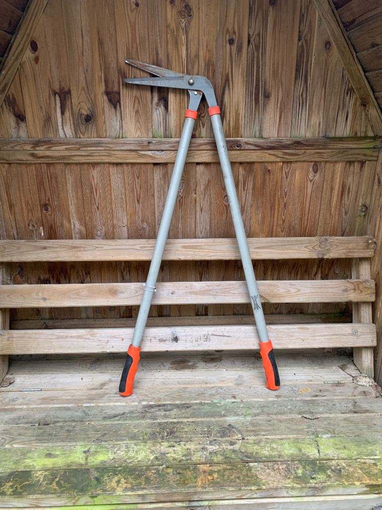 Garden and grass shears  