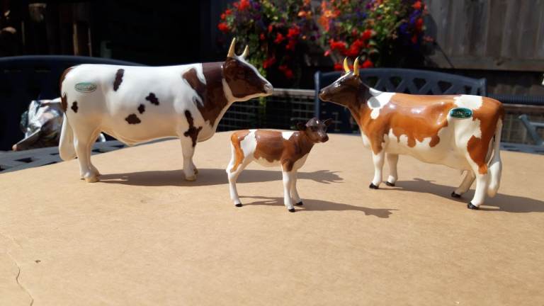 Beswick Ayeshire Cattle Collection 