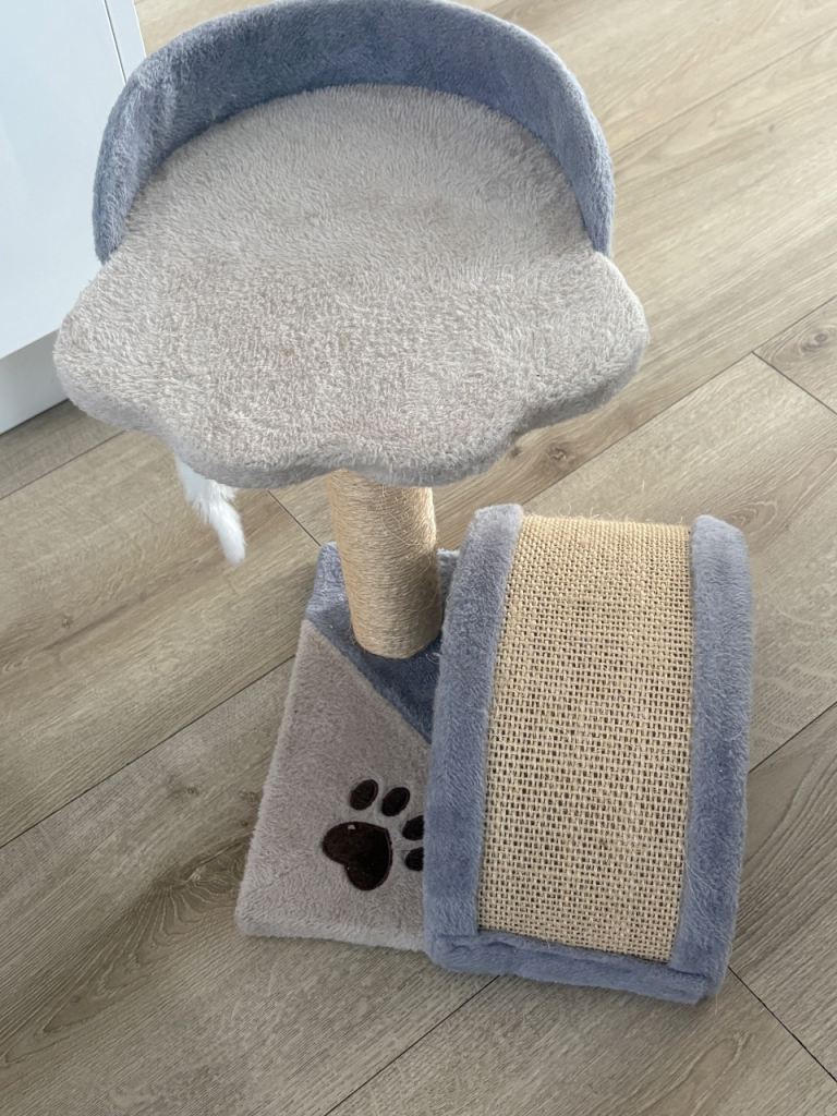 Cat scratchers 