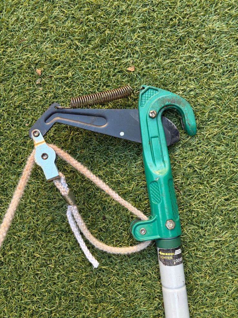 Tree Pruner, £15.00 for Sale in Clapham, London | Gumtree