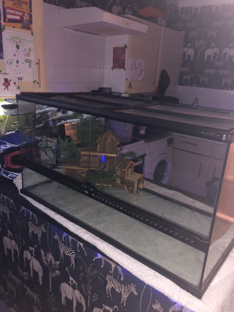 VIVARIUM TANK REPTILE ETC EXO TERRA 3ft  LOCATED WIMBORNE