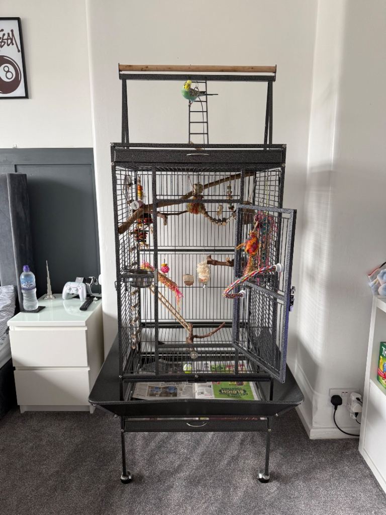 Large bird cage