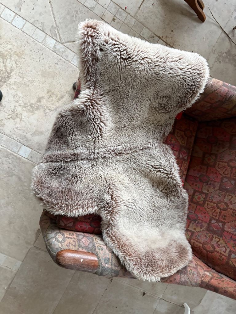 Super cosy large dog coat £10