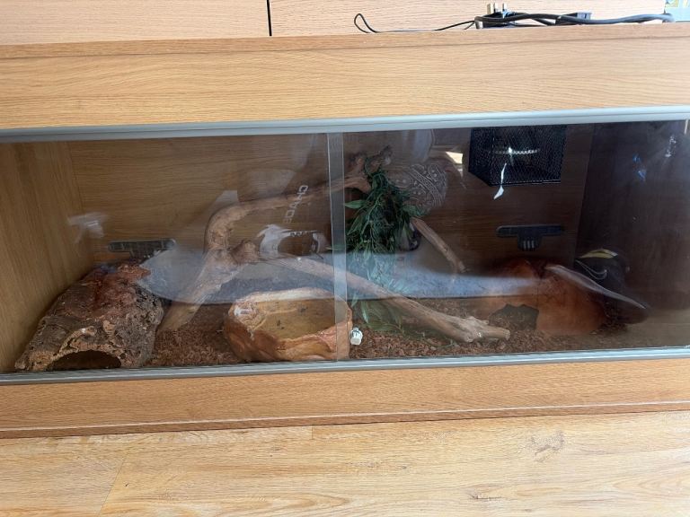 LARGE Vivexotic Vivarium 