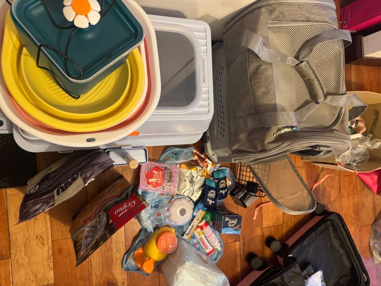A bunch of cat supplies