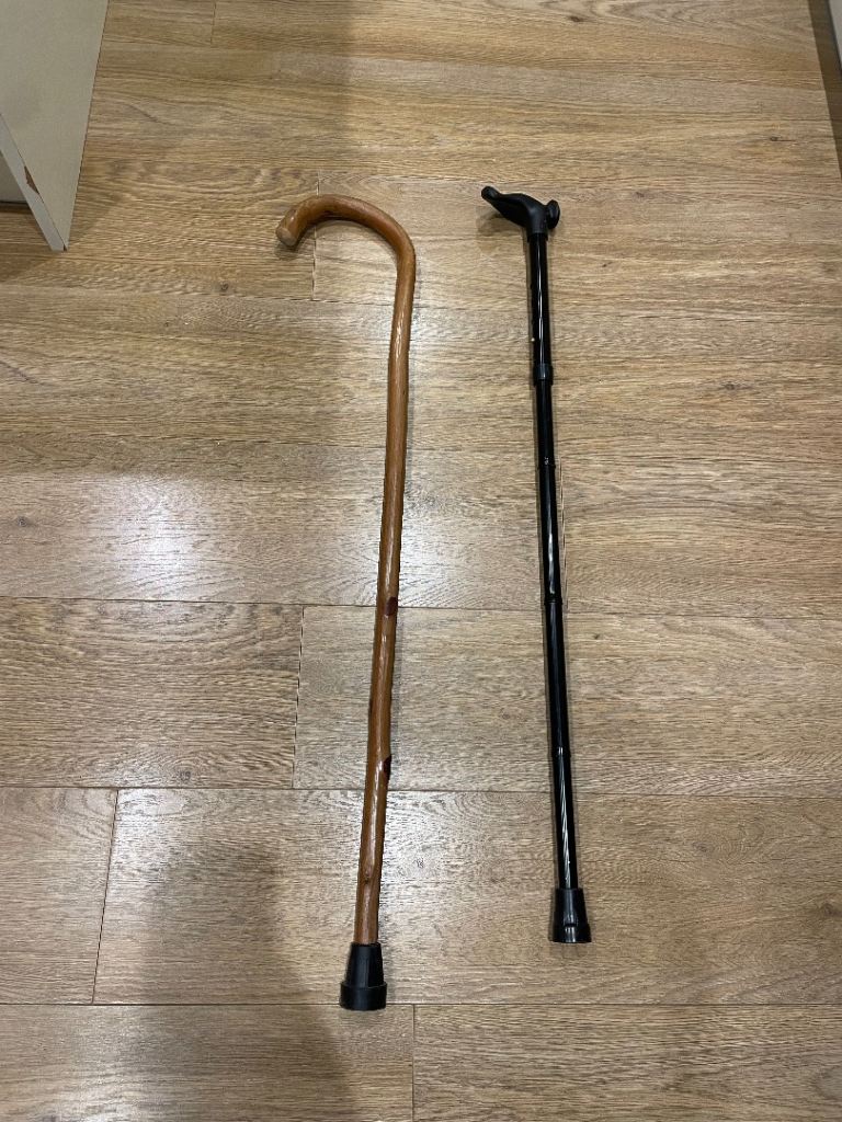Walking sticks 