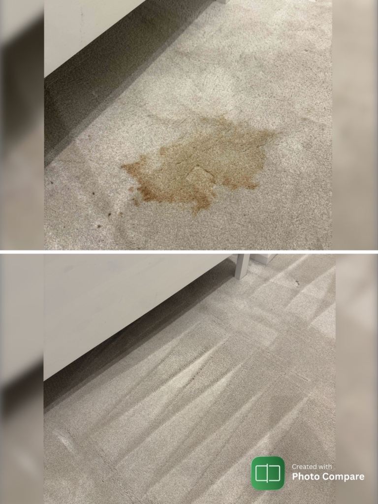 Professional Carpet and Upholstery Cleaning 