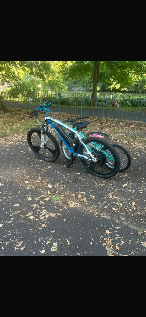 Electrical bmw bicycle 