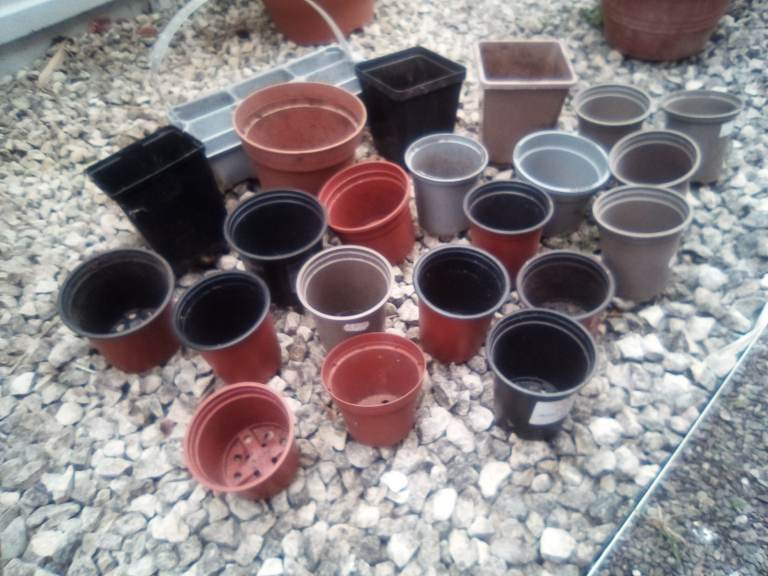 Various size plastic garden greenhouse plant pots - £3 the lot.