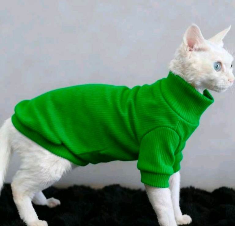 Cat/Dog Shirt Green Size L