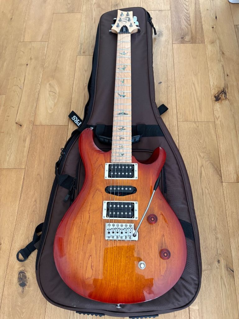 PRS SE Swamp Ash Special, PRS Soft Case