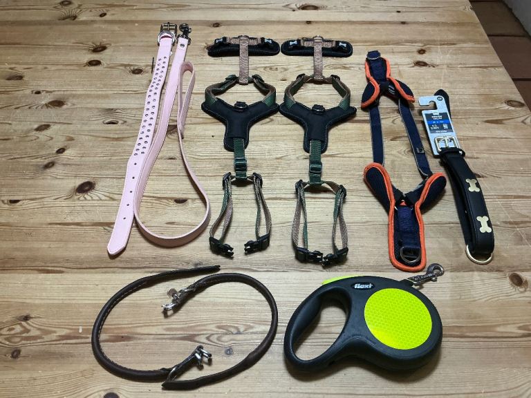 Puppy leather collars, 3 peaks training harnesses, collars and leads